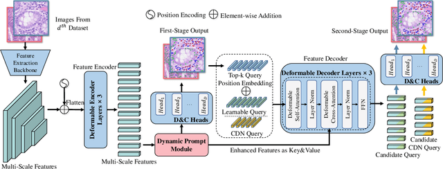 Figure 3 for UniCell: Universal Cell Nucleus Classification via Prompt Learning