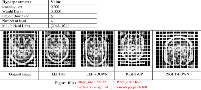 Figure 1 for Harnessing The Power of Attention For Patch-Based Biomedical Image Classification