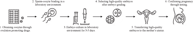 Figure 1 for DeFusion: An Effective Decoupling Fusion Network for Multi-Modal Pregnancy Prediction