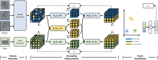 Figure 3 for DeFusion: An Effective Decoupling Fusion Network for Multi-Modal Pregnancy Prediction