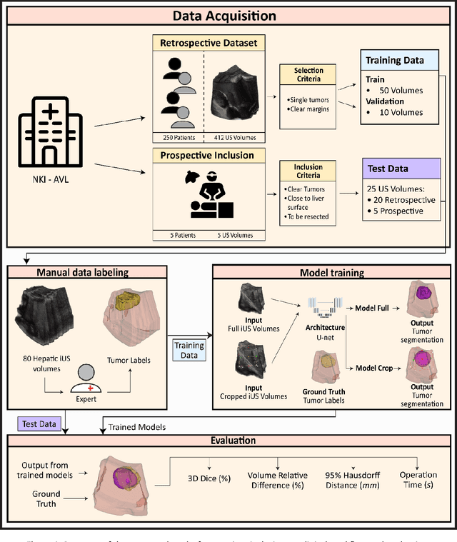 Figure 2 for Automatic segmentation of colorectal liver metastases for ultrasound-based navigated resection