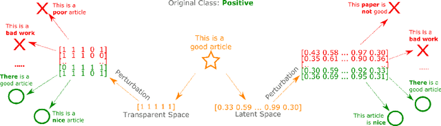 Figure 1 for Does It Make Sense to Explain a Black Box With Another Black Box?