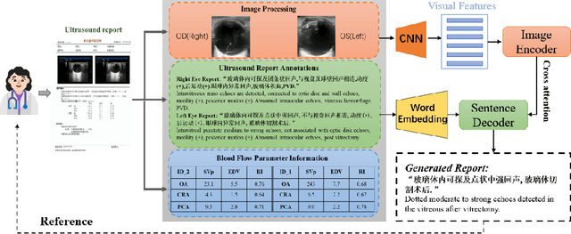 Figure 2 for A Labeled Ophthalmic Ultrasound Dataset with Medical Report Generation Based on Cross-modal Deep Learning