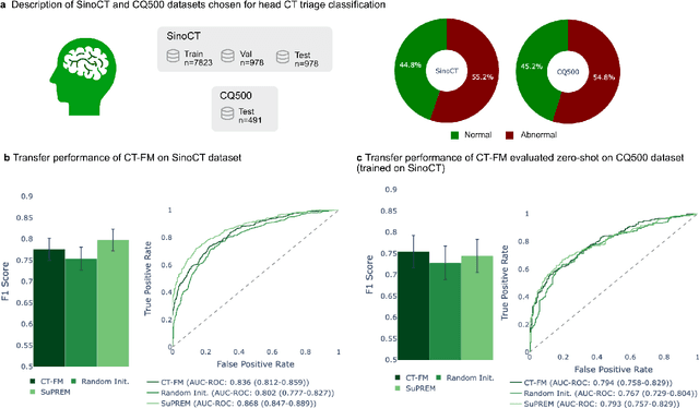 Figure 4 for Vision Foundation Models for Computed Tomography