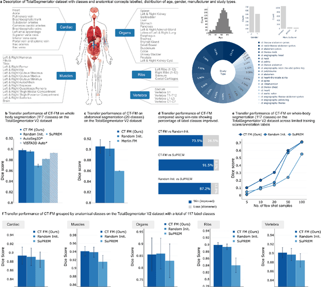 Figure 2 for Vision Foundation Models for Computed Tomography