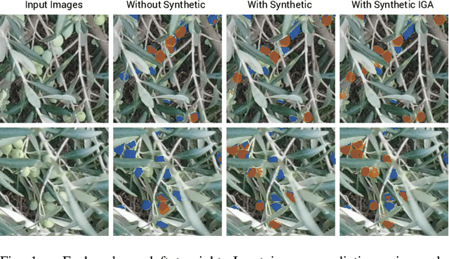 Figure 1 for Detecting Olives with Synthetic or Real Data? Olive the Above