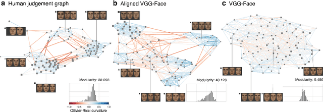 Figure 1 for Exploring Geometric Representational Alignment through Ollivier-Ricci Curvature and Ricci Flow