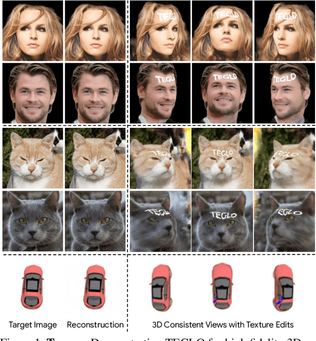 Figure 1 for TEGLO: High Fidelity Canonical Texture Mapping from Single-View Images