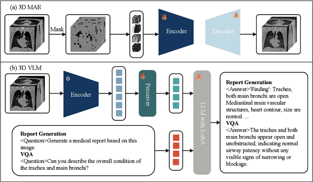 Figure 1 for E3D-GPT: Enhanced 3D Visual Foundation for Medical Vision-Language Model