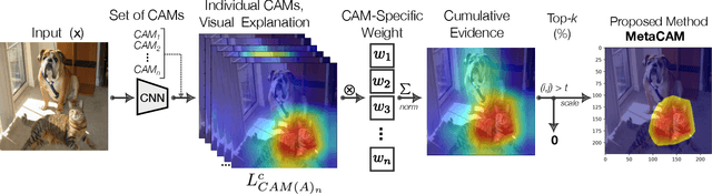 Figure 1 for MetaCAM: Ensemble-Based Class Activation Map