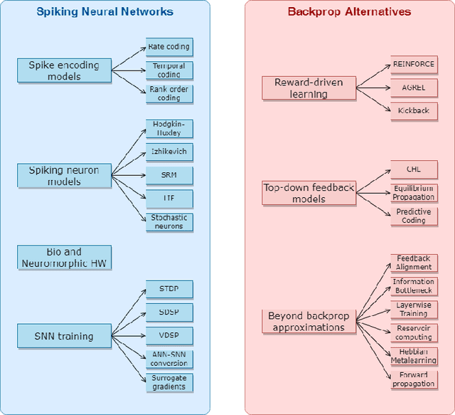 Figure 1 for Spiking Neural Networks and Bio-Inspired Supervised Deep Learning: A Survey