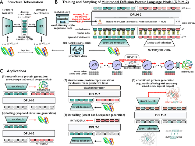 Figure 1 for DPLM-2: A Multimodal Diffusion Protein Language Model