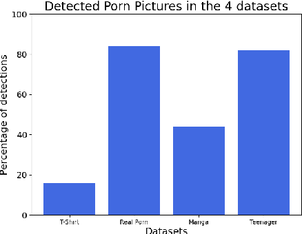 Figure 1 for Exploring the Robustness of AI-Driven Tools in Digital Forensics: A Preliminary Study