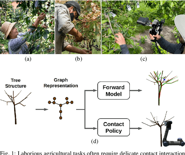 Figure 1 for Towards Robotic Tree Manipulation: Leveraging Graph Representations