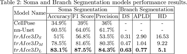 Figure 4 for trAIce3D: A Prompt-Driven Transformer Based U-Net for Semantic Segmentation of Microglial Cells from Large-Scale 3D Microscopy Images