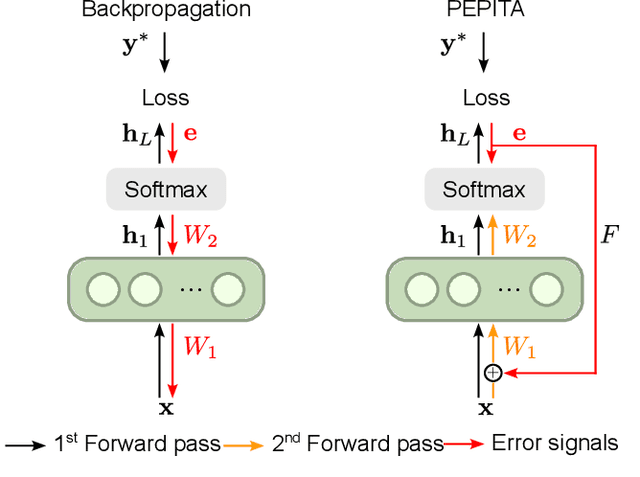 Figure 1 for Efficient Biologically Plausible Adversarial Training