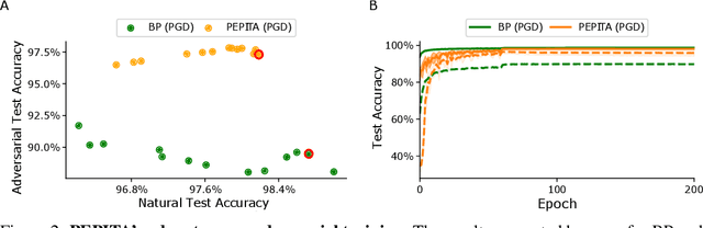 Figure 4 for Efficient Biologically Plausible Adversarial Training