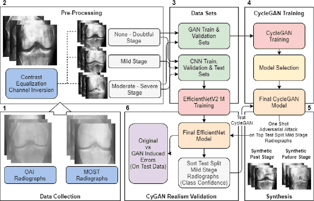 Figure 1 for Synthesizing Bidirectional Temporal States of Knee Osteoarthritis Radiographs with Cycle-Consistent Generative Adversarial Neural Networks