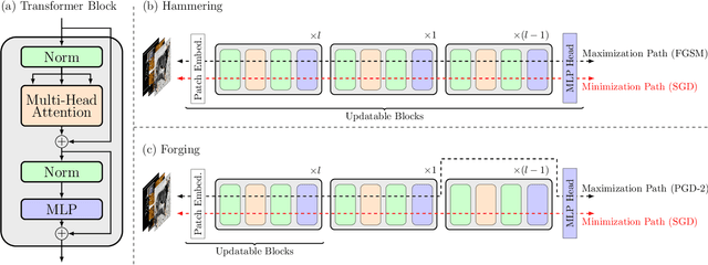 Figure 1 for Blacksmith: Fast Adversarial Training of Vision Transformers via a Mixture of Single-step and Multi-step Methods