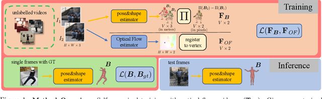 Figure 1 for Using Motion Cues to Supervise Single-Frame Body Pose and Shape Estimation in Low Data Regimes