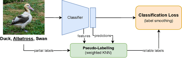 Figure 1 for SARI: Simplistic Average and Robust Identification based Noisy Partial Label Learning