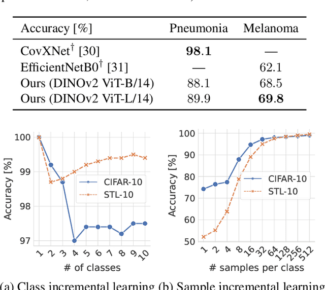 Figure 4 for Integrating kNN with Foundation Models for Adaptable and Privacy-Aware Image Classification