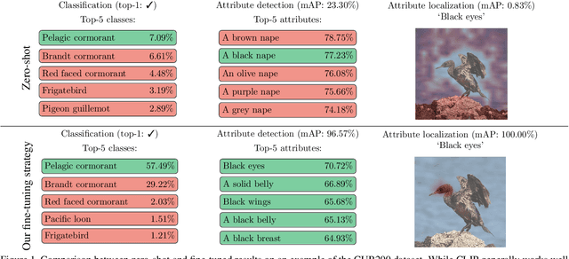 Figure 1 for Leveraging Vision-Language Foundation Models for Fine-Grained Downstream Tasks