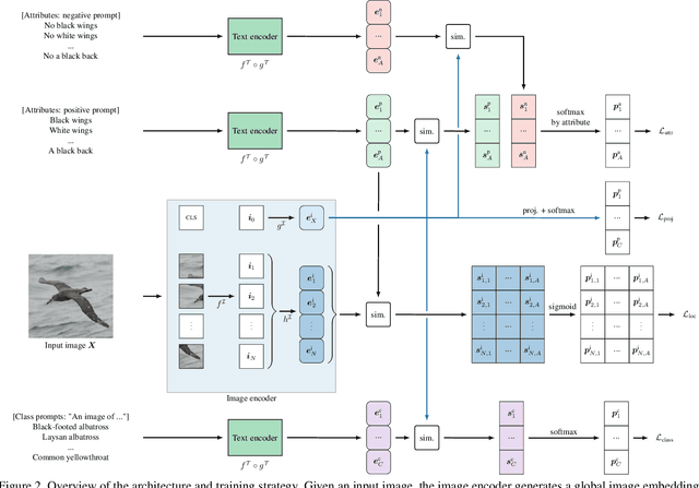 Figure 3 for Leveraging Vision-Language Foundation Models for Fine-Grained Downstream Tasks