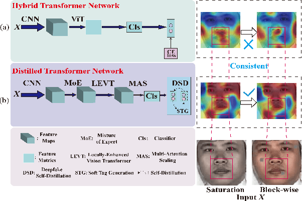 Figure 3 for Distilled Transformers with Locally Enhanced Global Representations for Face Forgery Detection