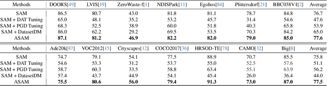 Figure 2 for ASAM: Boosting Segment Anything Model with Adversarial Tuning