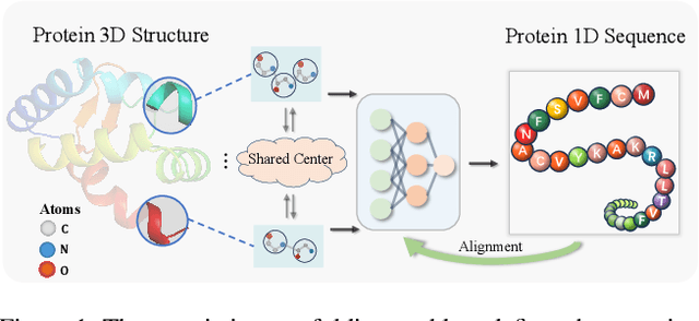 Figure 1 for Diffusion Model with Representation Alignment for Protein Inverse Folding