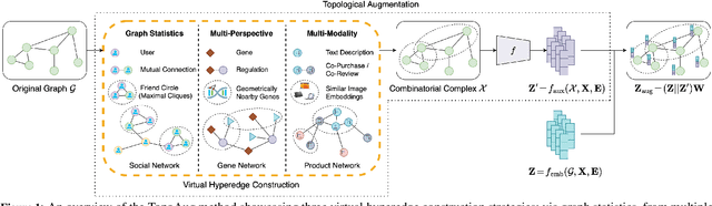 Figure 1 for Enhancing Real-World Complex Network Representations with Hyperedge Augmentation