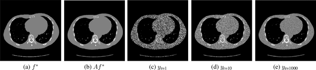 Figure 1 for Sparse Signal Reconstruction for Overdispersed Low-photon Count Biomedical Imaging Using $\ell_p$ Total Variation