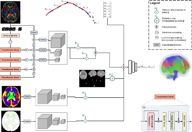 Figure 3 for Streamline tractography of the fetal brain in utero with machine learning