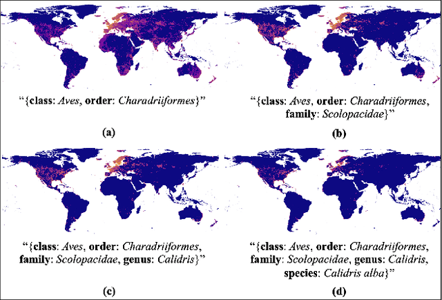 Figure 1 for LD-SDM: Language-Driven Hierarchical Species Distribution Modeling