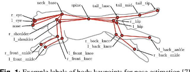 Figure 1 for CNN Based Flank Predictor for Quadruped Animal Species