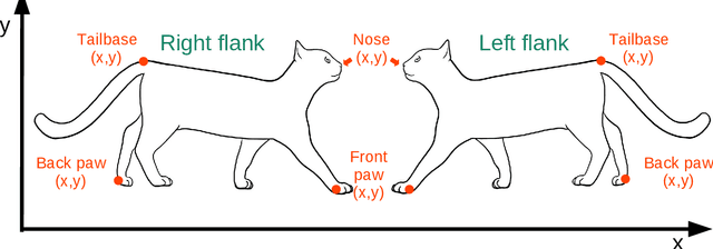 Figure 3 for CNN Based Flank Predictor for Quadruped Animal Species