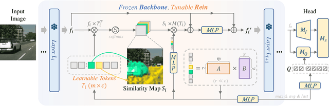 Figure 2 for Stronger, Fewer, & Superior: Harnessing Vision Foundation Models for Domain Generalized Semantic Segmentation