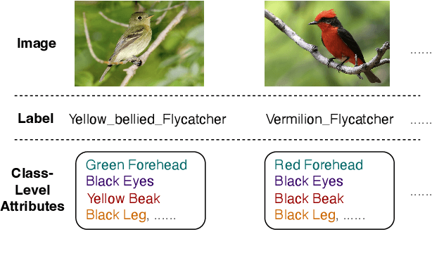 Figure 1 for COMAE: COMprehensive Attribute Exploration for Zero-shot Hashing