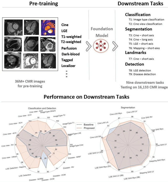 Figure 1 for Towards a vision foundation model for comprehensive assessment of Cardiac MRI