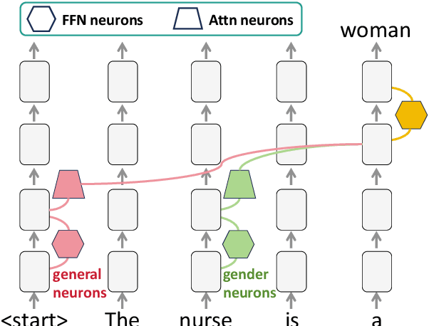 Figure 1 for Understanding and Mitigating Gender Bias in LLMs via Interpretable Neuron Editing