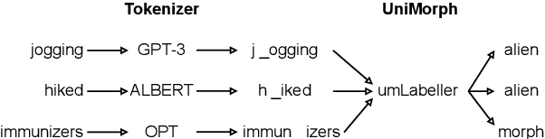 Figure 1 for Evaluating Subword Tokenization: Alien Subword Composition and OOV Generalization Challenge