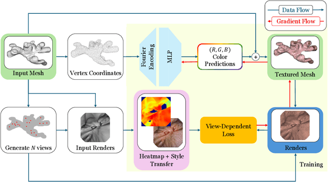 Figure 3 for MeshBrush: Painting the Anatomical Mesh with Neural Stylization for Endoscopy