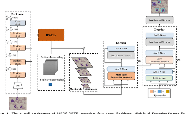 Figure 1 for Accurate Leukocyte Detection Based on Deformable-DETR and Multi-Level Feature Fusion for Aiding Diagnosis of Blood Diseases