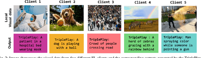 Figure 2 for TriplePlay: Enhancing Federated Learning with CLIP for Non-IID Data and Resource Efficiency