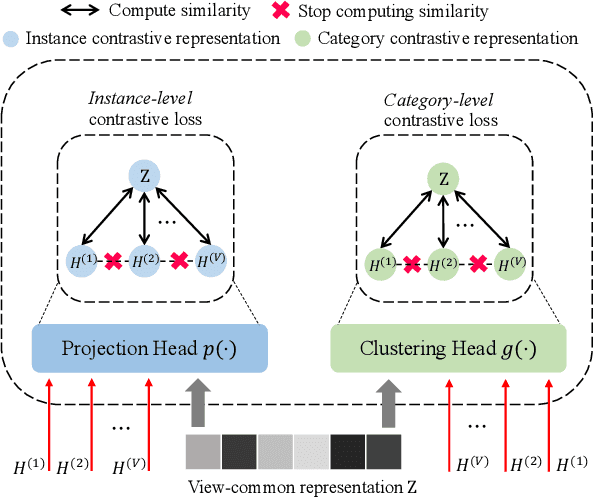 Figure 3 for A Clustering-guided Contrastive Fusion for Multi-view Representation Learning