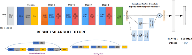 Figure 3 for FaceFilterSense: A Filter-Resistant Face Recognition and Facial Attribute Analysis Framework