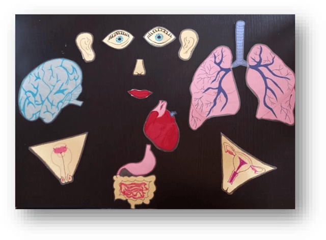 Figure 3 for Socially Assistive Robot in Sexual Health: Group and Individual Student-Robot Interaction Activities Promoting Disclosure, Learning and Positive Attitudes