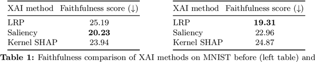 Figure 1 for From Flexibility to Manipulation: The Slippery Slope of XAI Evaluation