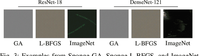 Figure 3 for The Impact of Uniform Inputs on Activation Sparsity and Energy-Latency Attacks in Computer Vision